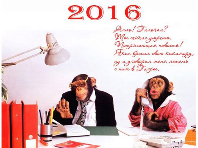 Гороскоп на Новый 2016 год - отношения и карьера
